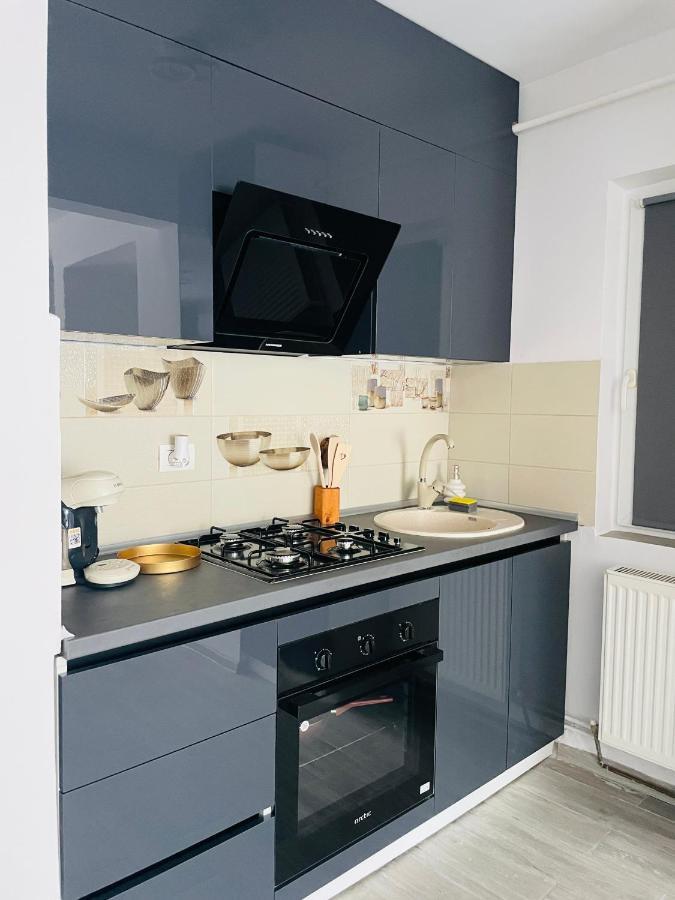 Timisoara Central Apartment New Parking !! Luaran gambar