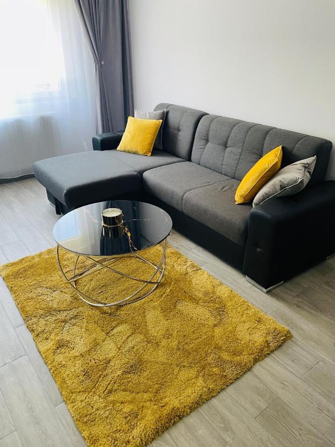 Timisoara Central Apartment New Parking !! Luaran gambar