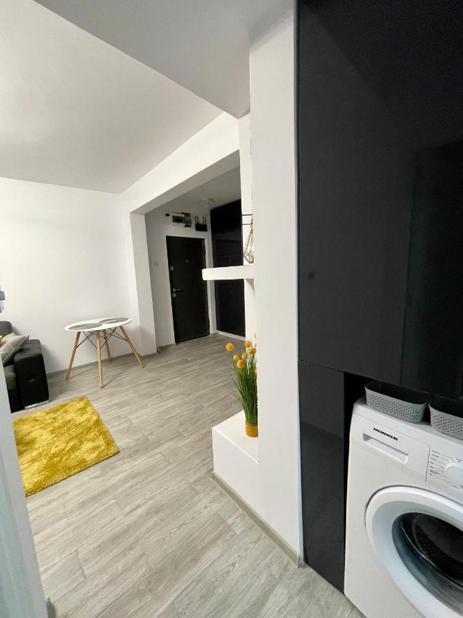 Timisoara Central Apartment New Parking !! Luaran gambar