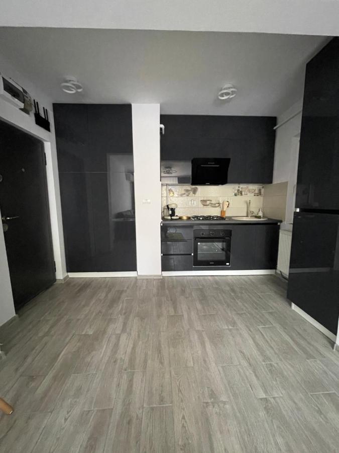 Timisoara Central Apartment New Parking !! Luaran gambar