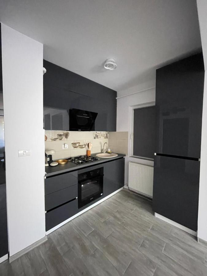 Timisoara Central Apartment New Parking !! Luaran gambar