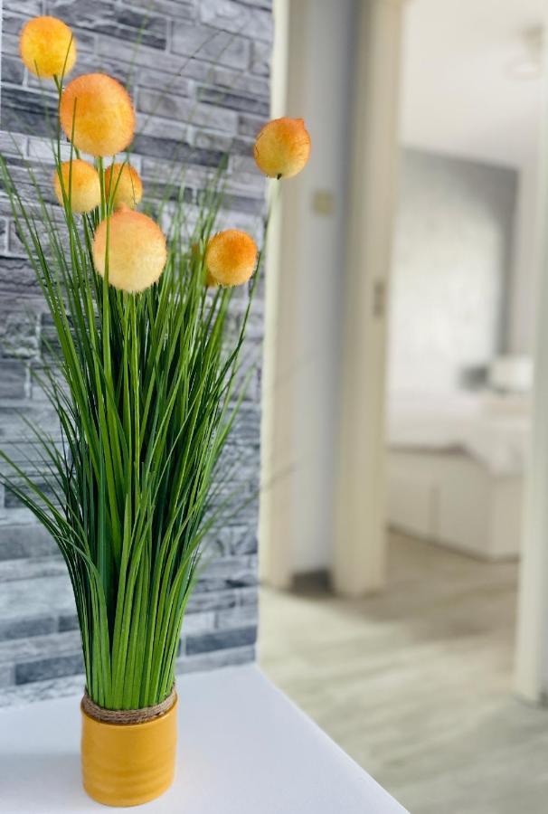 Timisoara Central Apartment New Parking !! Luaran gambar