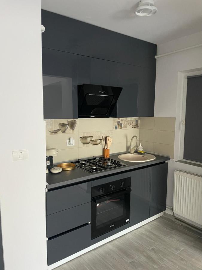 Timisoara Central Apartment New Parking !! Luaran gambar