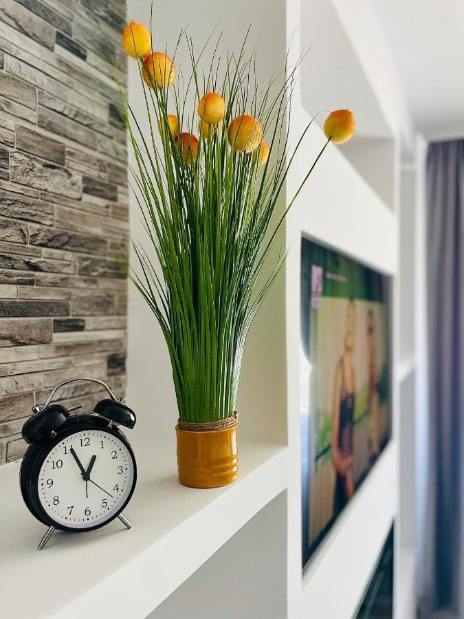 Timisoara Central Apartment New Parking !! Luaran gambar
